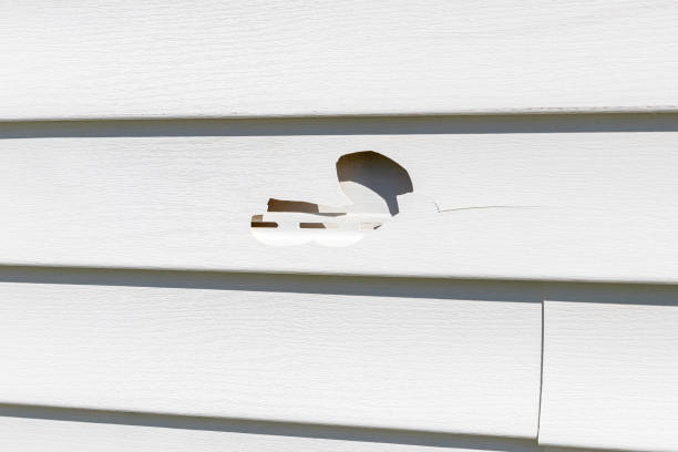 Best Steel Siding Installation  in St Clair, MI