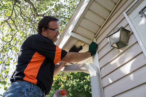 Best Siding for New Construction  in St Clair, MI